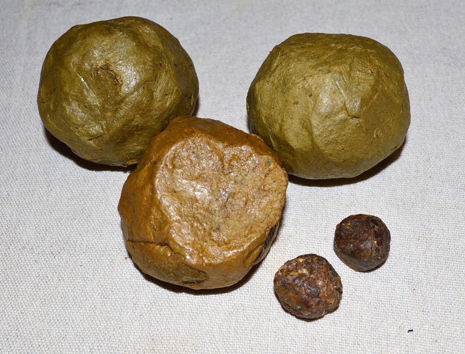 Прополіс бджолиний; Підмор; ПЖВМ; міль воскова