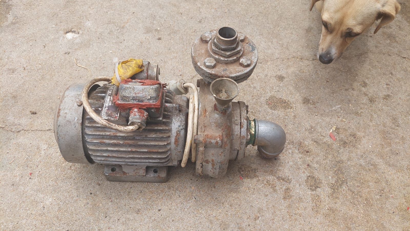 Bomba monofásico de água