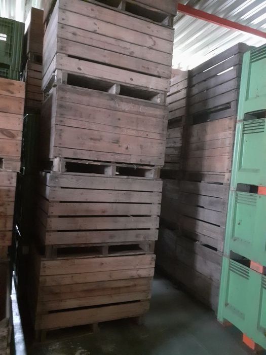 sprzedam ok. 100 skrzyn drewnianych, sztuka 100zl