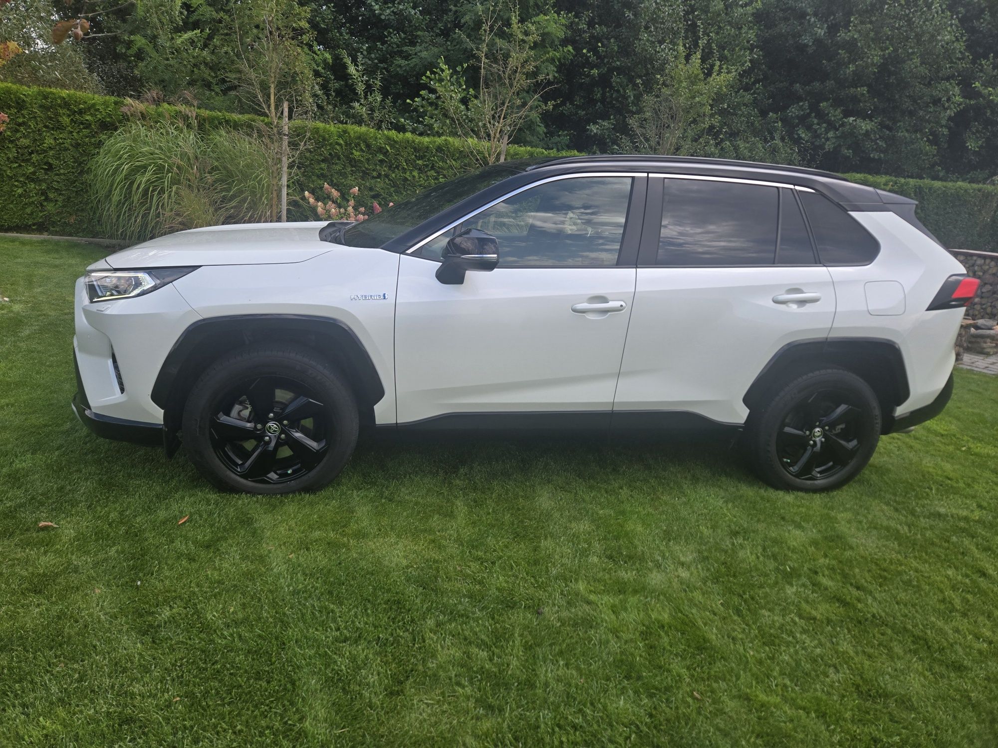 Toyota Rav4 Selection 4x4 Hybrid