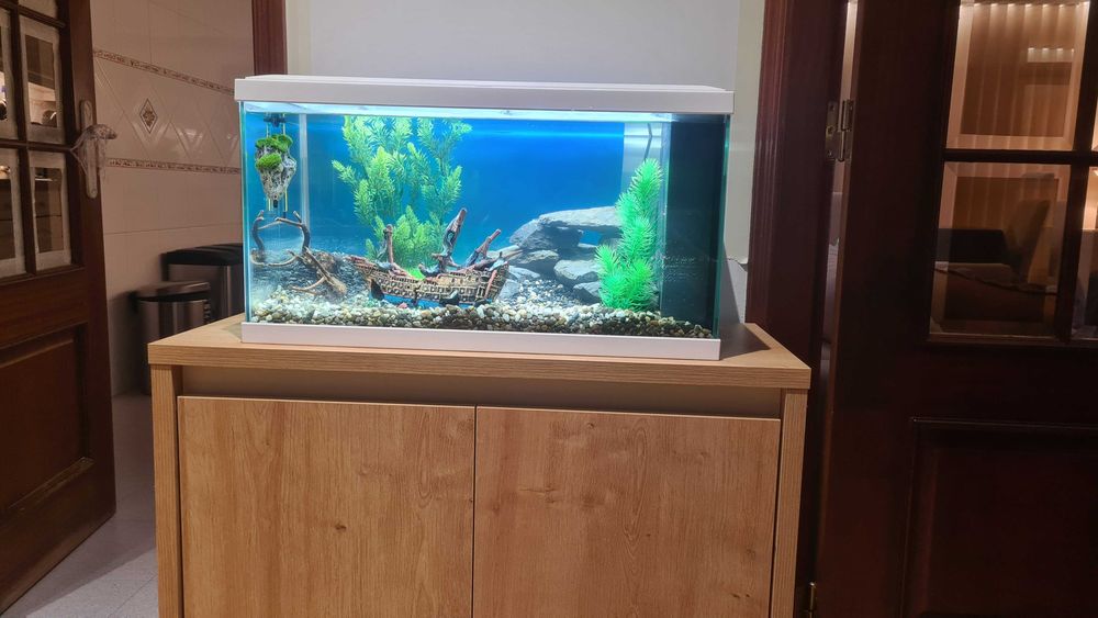 Vendo Aquário 60L com Armário