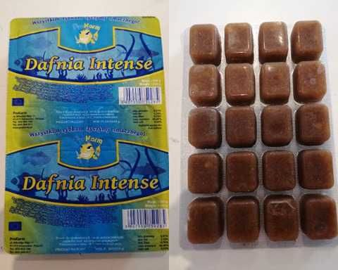 Pokarm Mrożony Dafnia Intense (Rozwielitka) 100G PC {Świat Akwarysty}