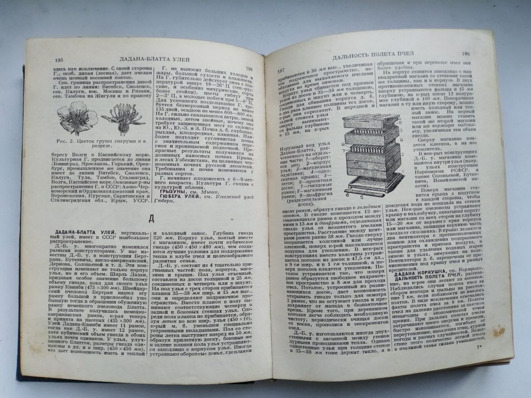 Словарь-справочник 1937 Бджільництвом Пчеловодство Розов