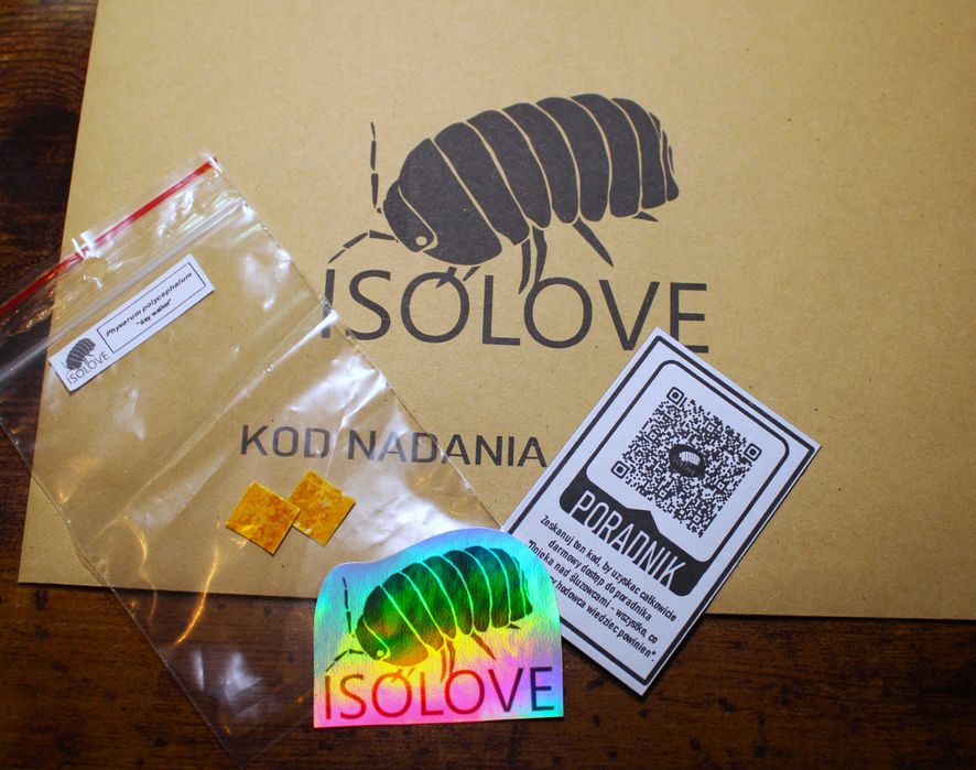 Physarum polycephalum "day walker" + PORADNIK (PDF), slime mold, blob