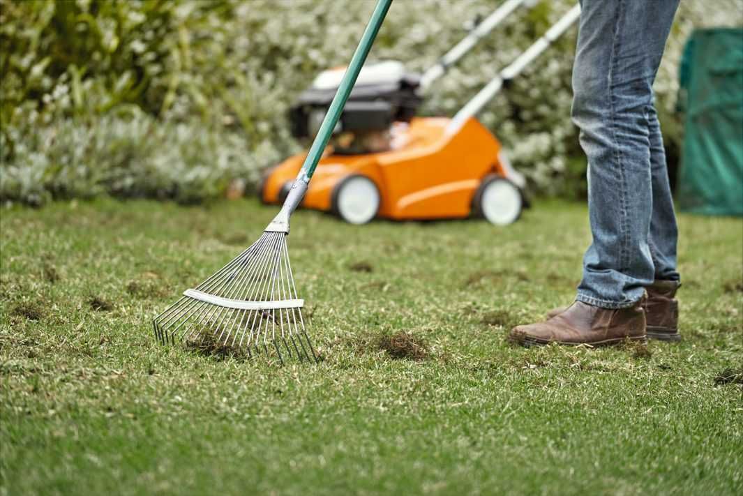 Wertykulator Stihl RL 540