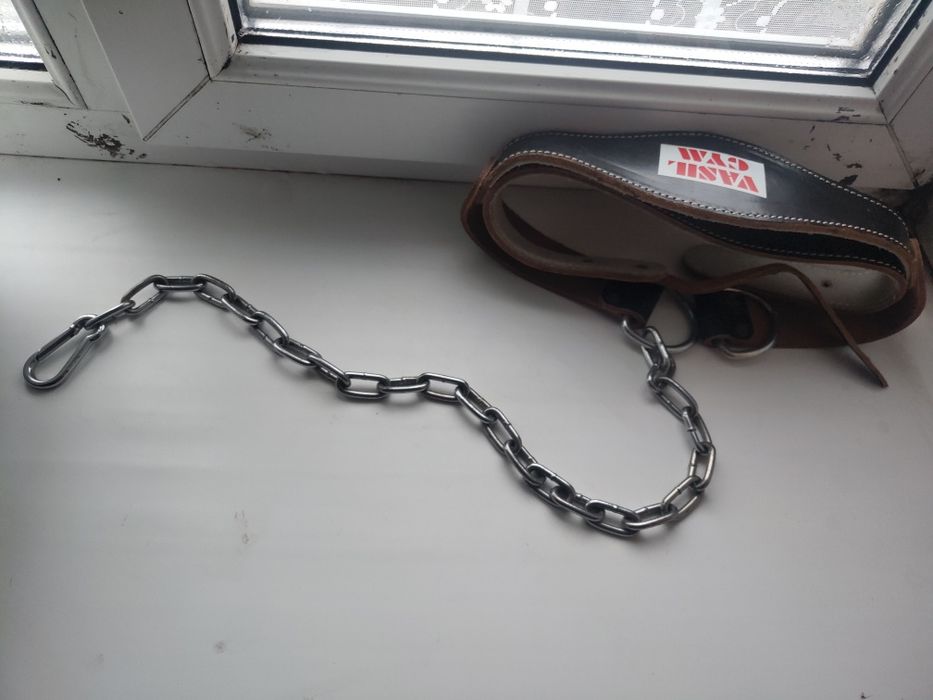 Шлея і цеп для собаки