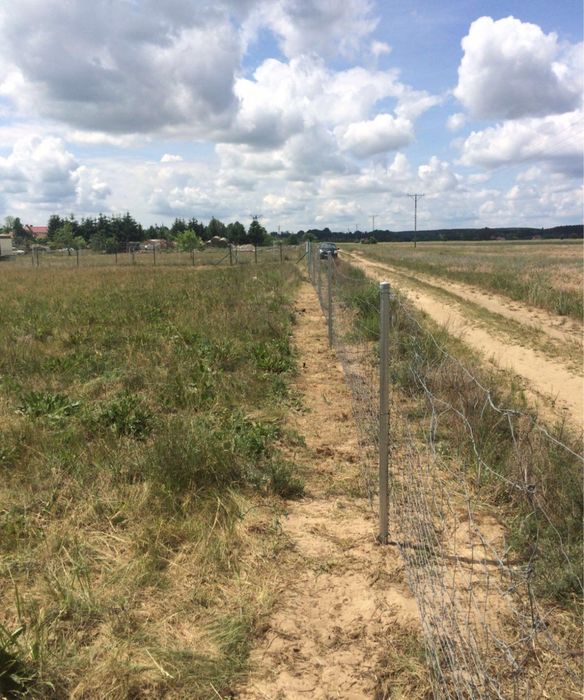 działka budowlana – Białcz, gm. Witnica