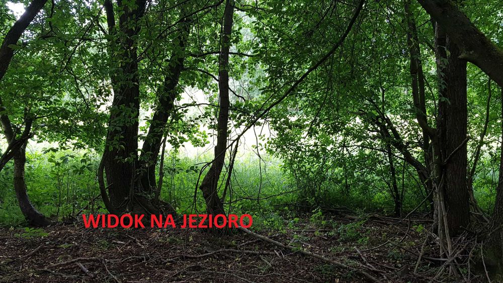 Duża Działka - decyzja o warunkach zabudowy KASZUBY / JEZIORO