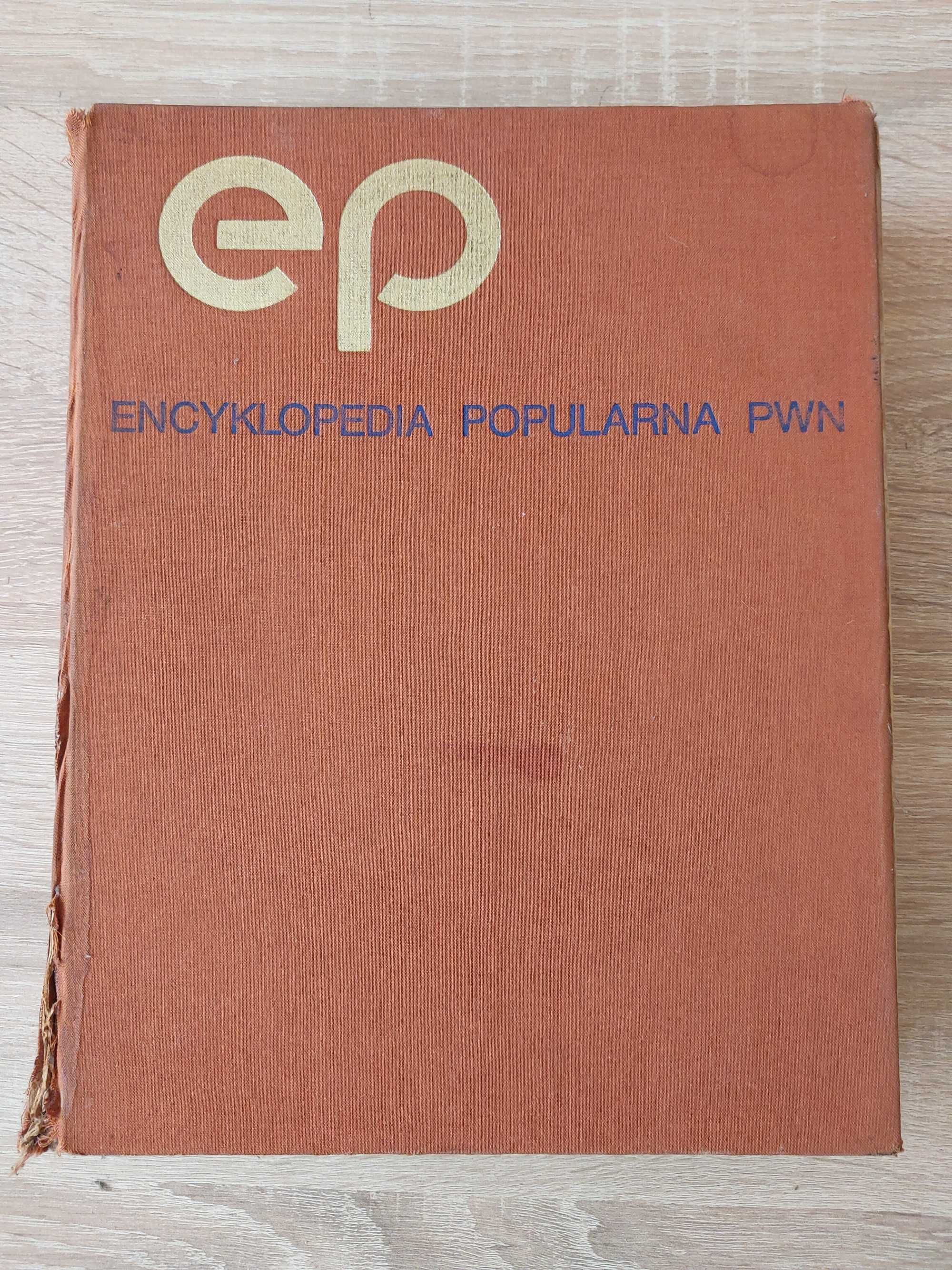Encyklopedia popularna PWN