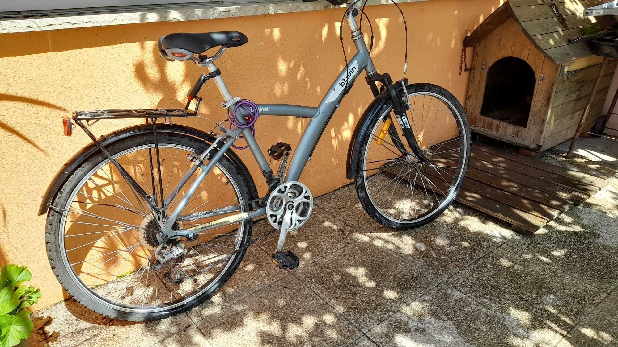 Biciclepa para adultos
