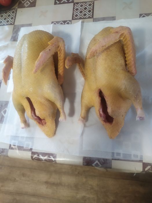 Продам утят і гусей