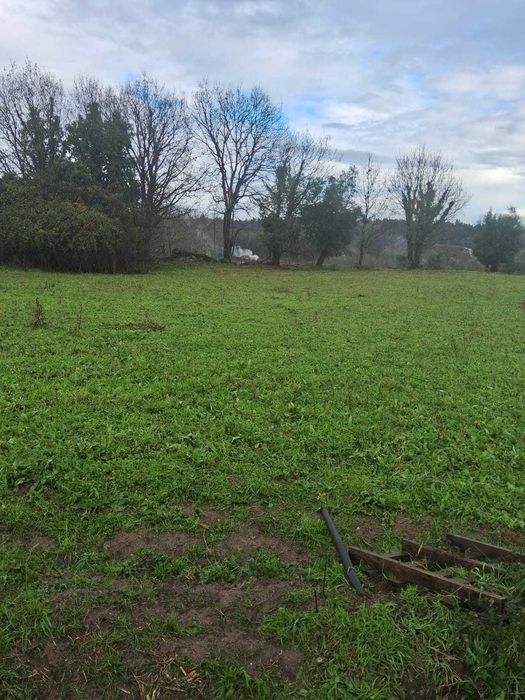 Terreno para Construção