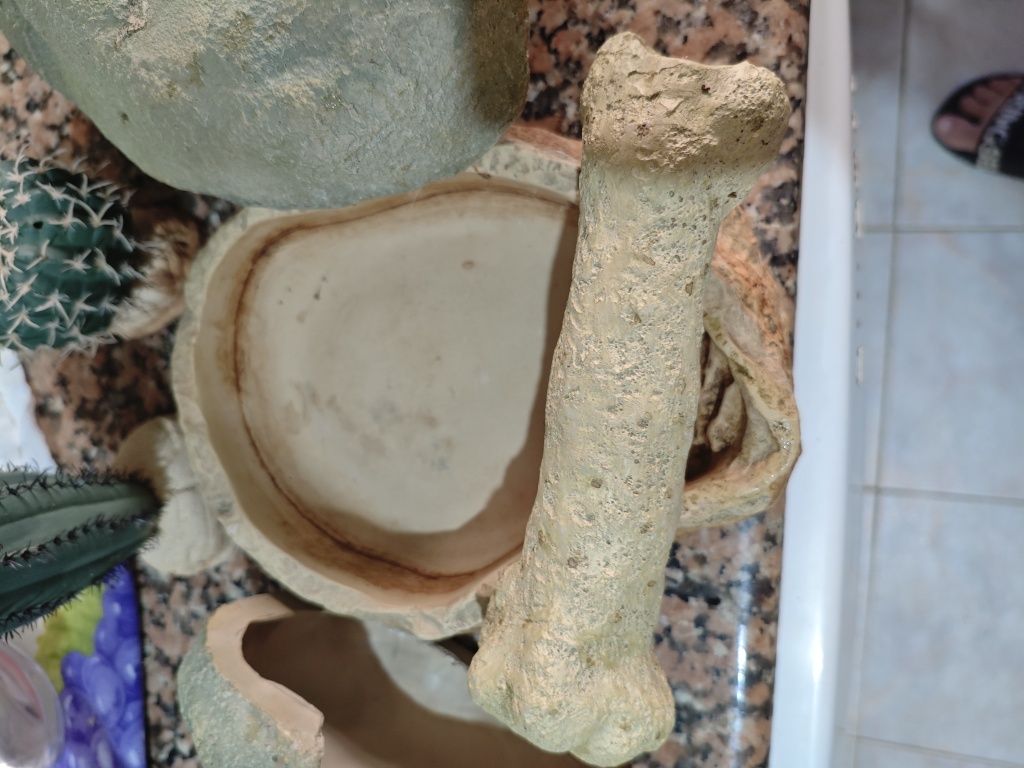 Acessórios para terrários