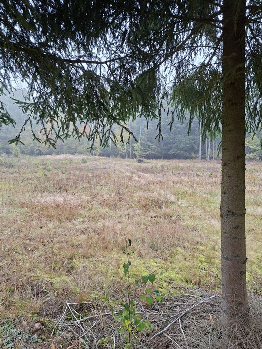 Budowlana 4600 m Zalesiany k Białegostoku