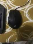 rato da nplay em muito bol estado