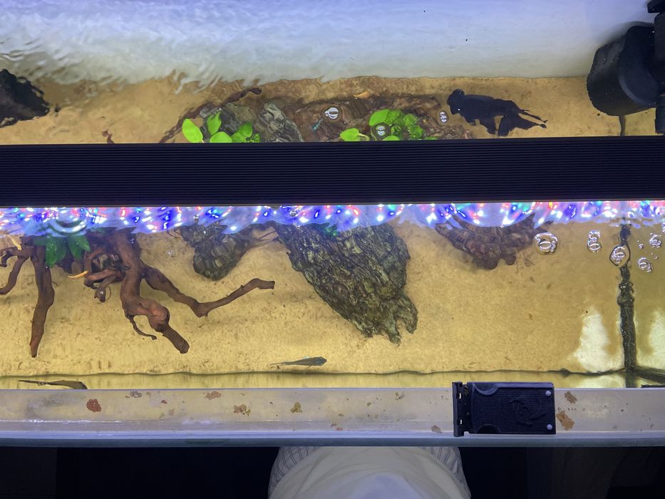 Akwarium 300l z szafką filtrem aquael ultramax 2000