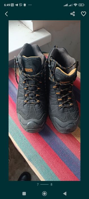 Кросівки Dakota, 43