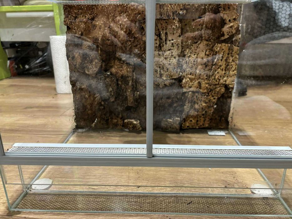 Terarium dla ptasznika z pełnym wyposażeniem i oświetleniem 40x30x30