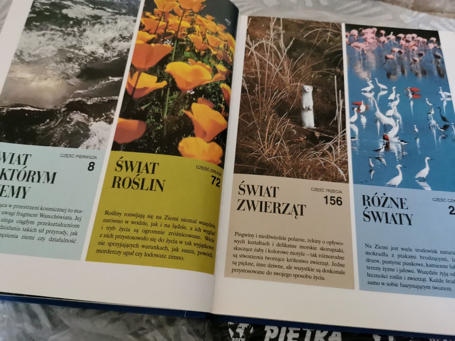 ABC Przyrody książka