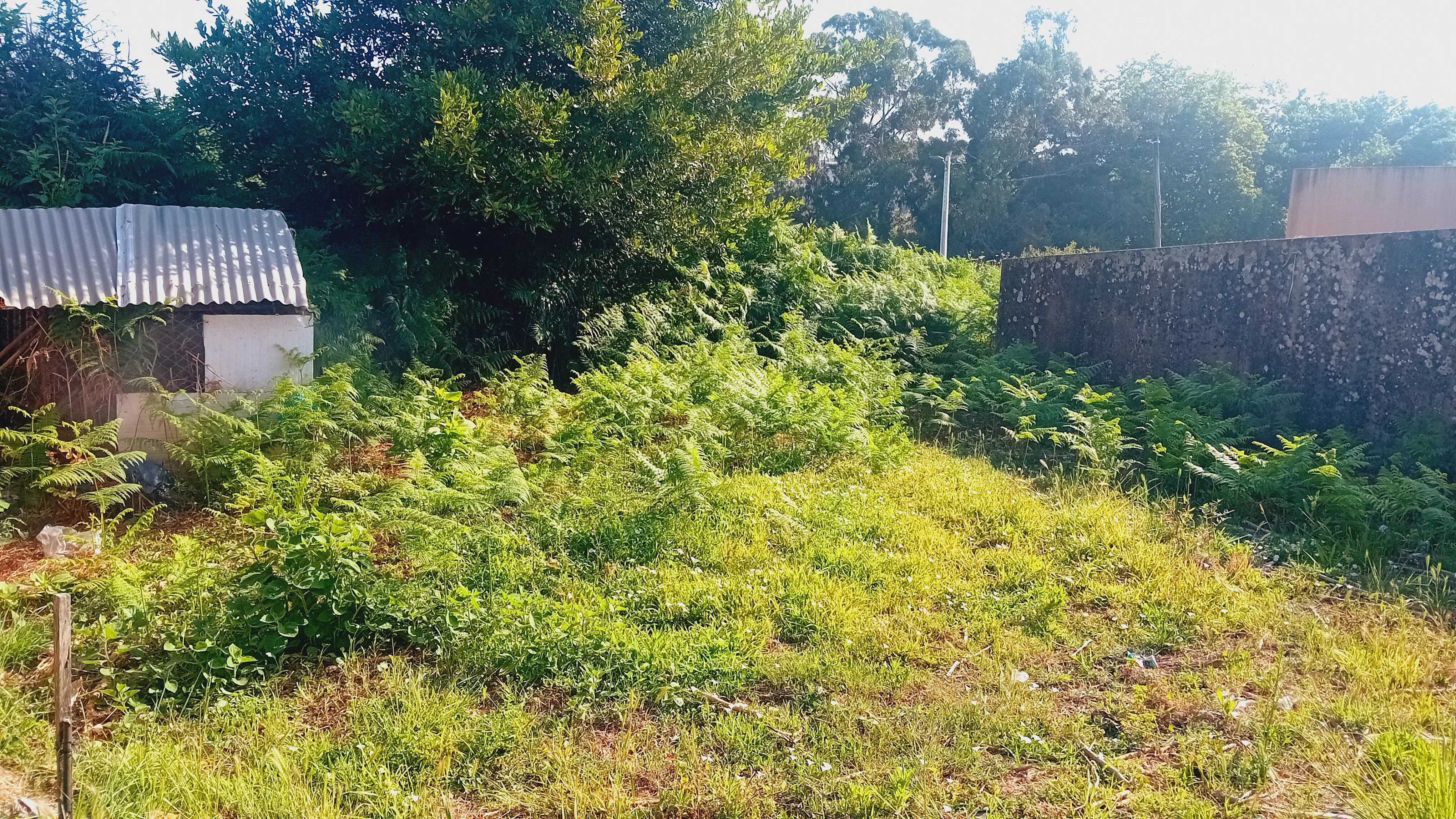 Manutenção de Jardins *!preços justos!*