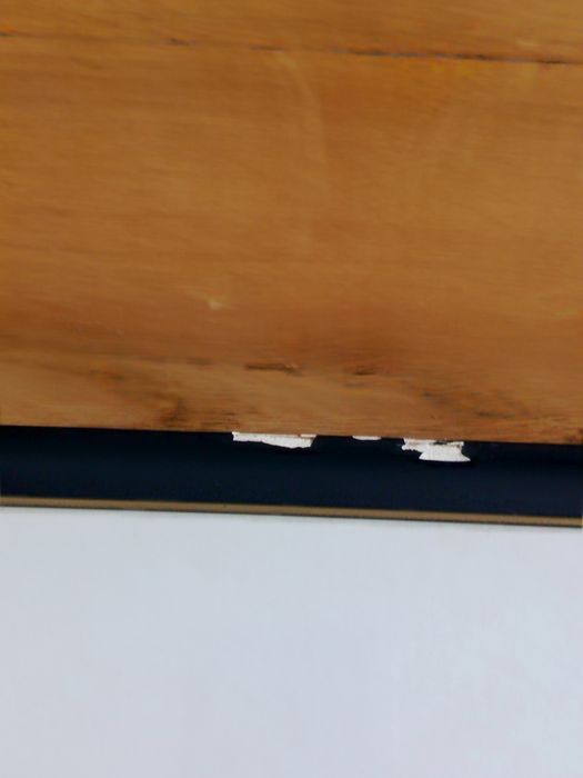 Grafika ( drzeworyt) Stefan Speil