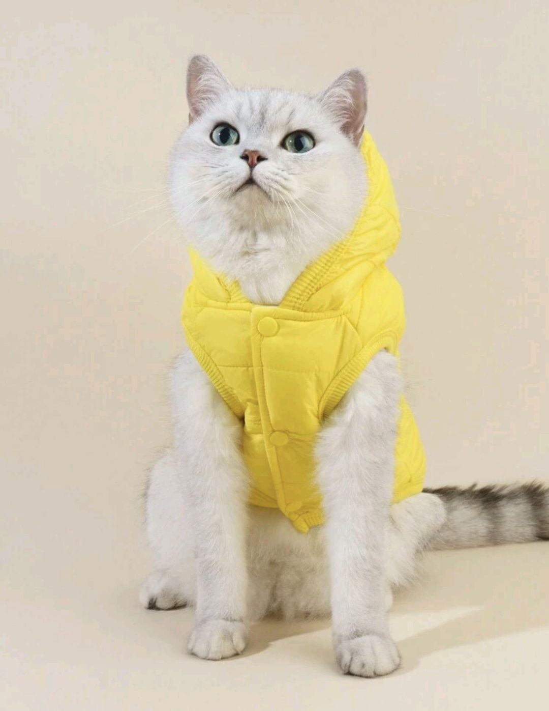 Kurteczka, kurtka, bluza z kapturem dla kota / psa - roz. S , ubranka