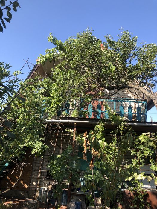 Дача в кооперативі «Лотос» місто Кривий Ріг