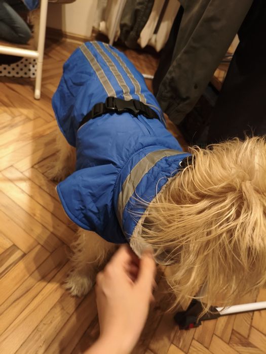 Kurtka dla psa ciepła polar zapinana niebieska odblaskowa