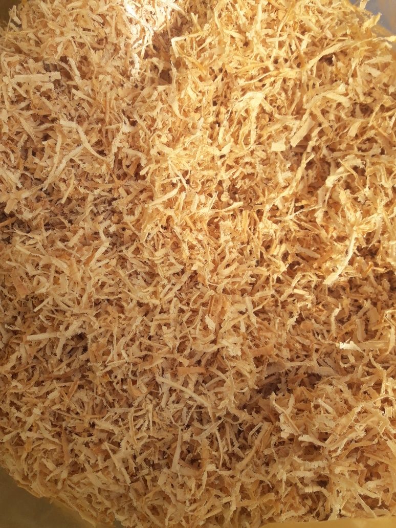 Trociny suche w workach 120l