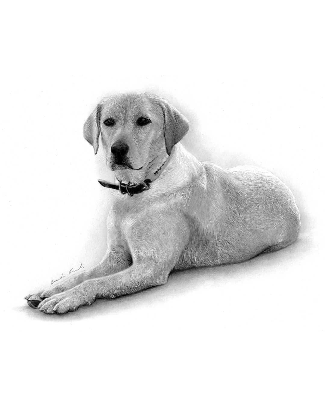 Retratos Personalizados a Lápis – Pessoas ou Animais