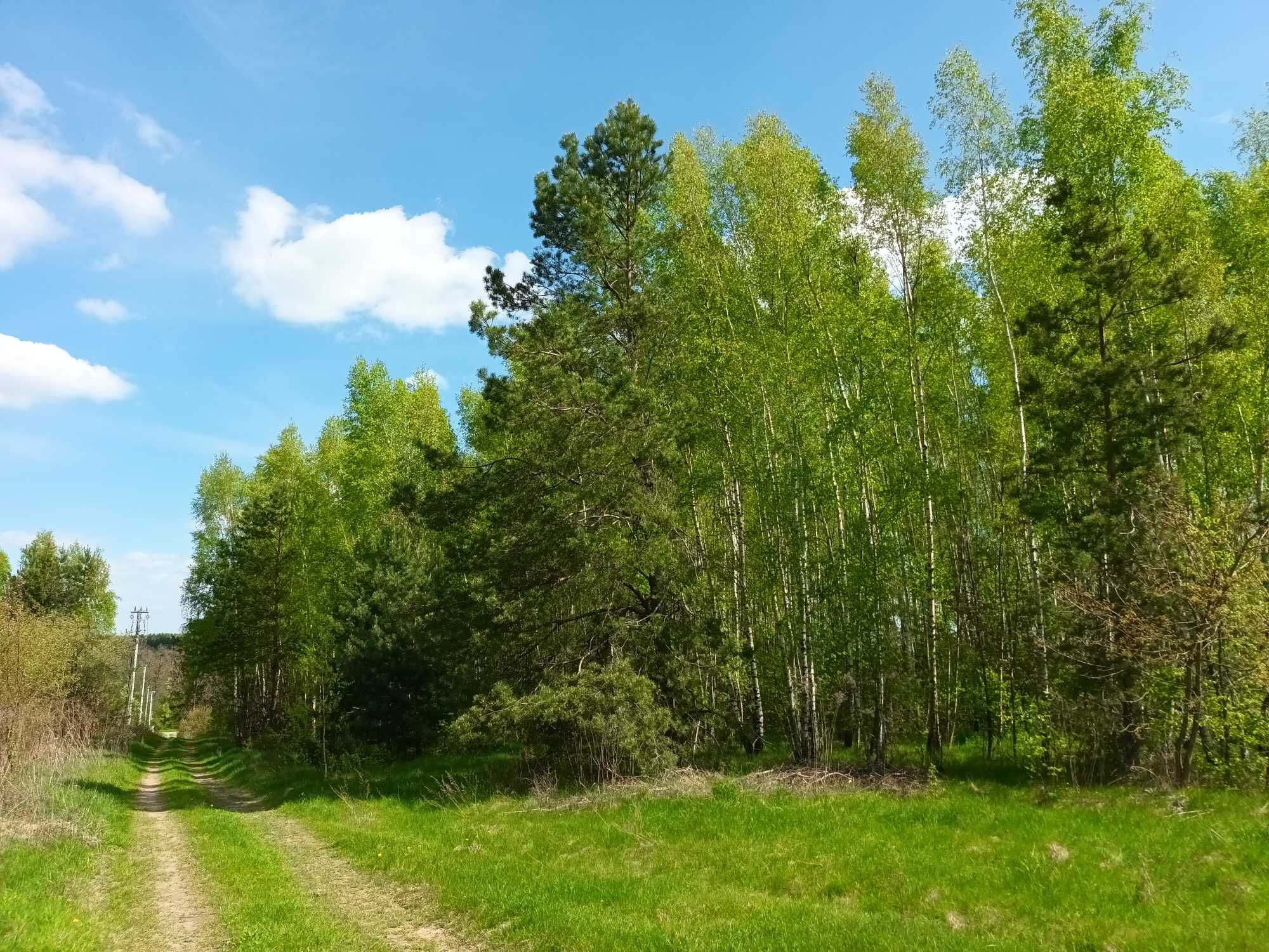 Siedlisko 3,7 ha Gmina Pniewy