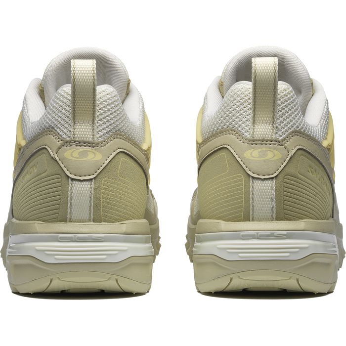 acs+seasonal Salomon