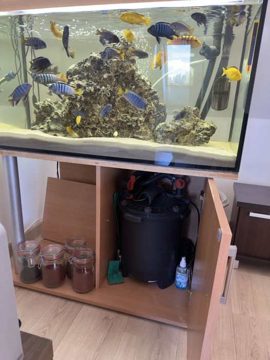 Alwarium 100x50x50cm 250l  malawi