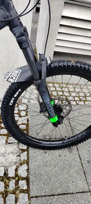 Dartmoor  hornet 2022 PILNEEE