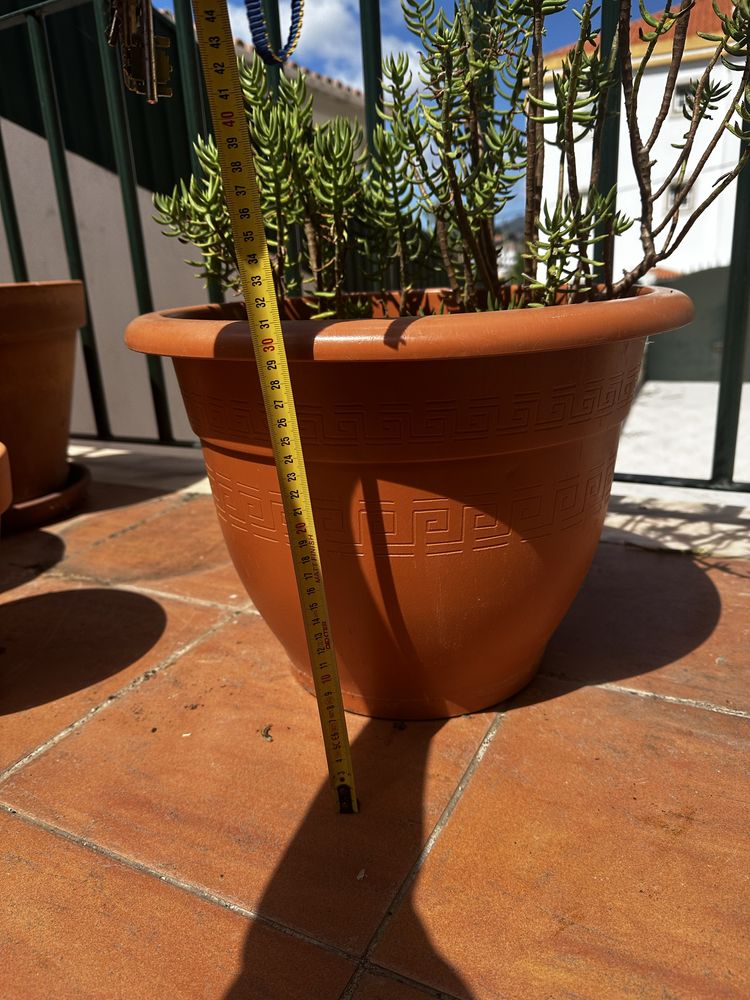 Vaso de plastico com planta