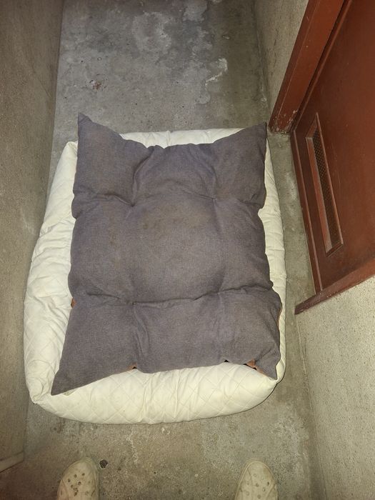 Cama cão 100x75 cm