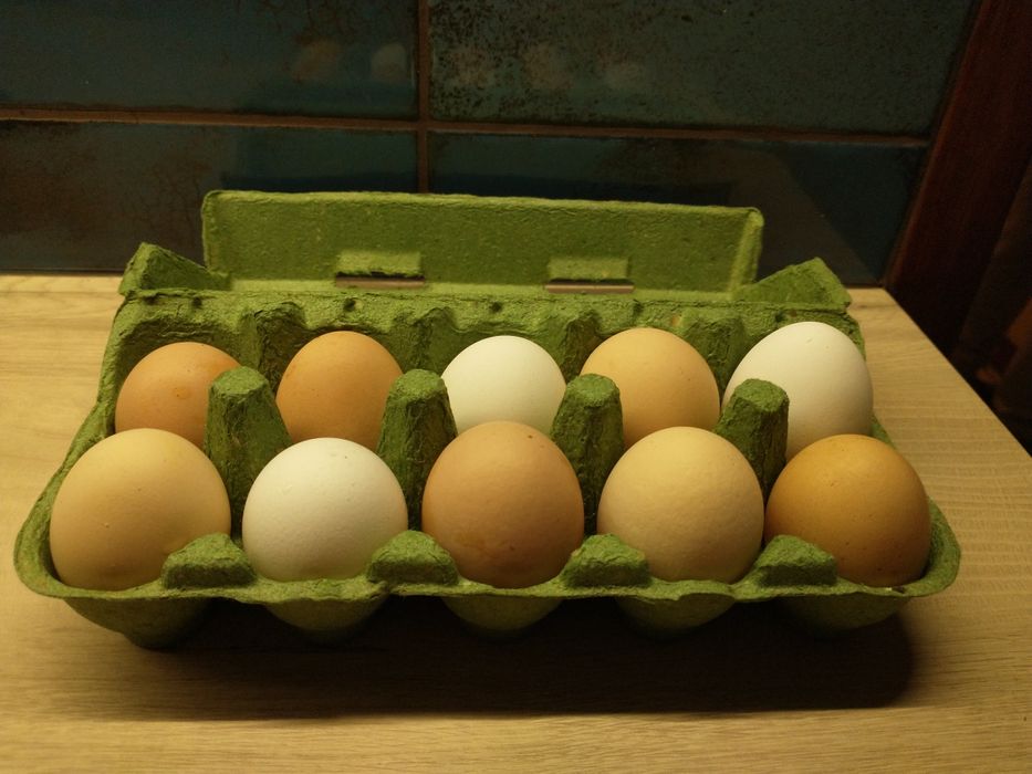 Jaja wiejskie z wolnego wybiegu