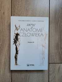 Książka zarys anatomii człowieka. Adam krechowiecki, Florian czerwińsk