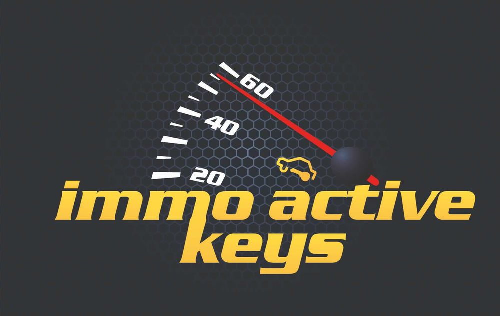 Immobilizer serwis, naprawa, immo off