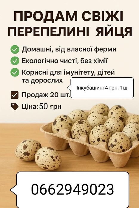 Яйце харчове 50гр- 1 лоток 20шт.
На домашньому кормі!