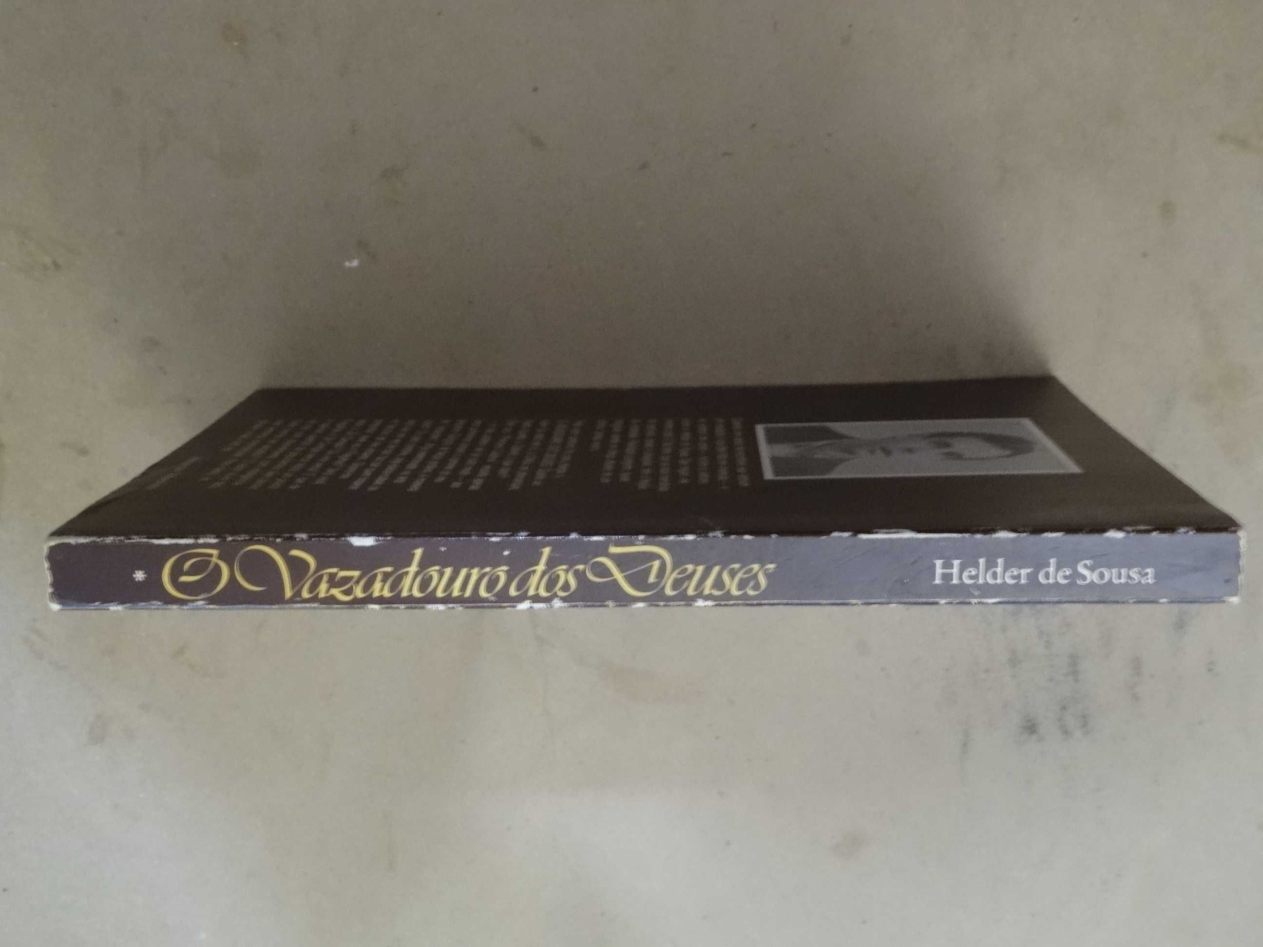 O Vazadouro dos Deuses de Helder de Sousa - 1ª Edição