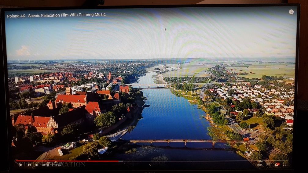 Monitor Dell P2419H