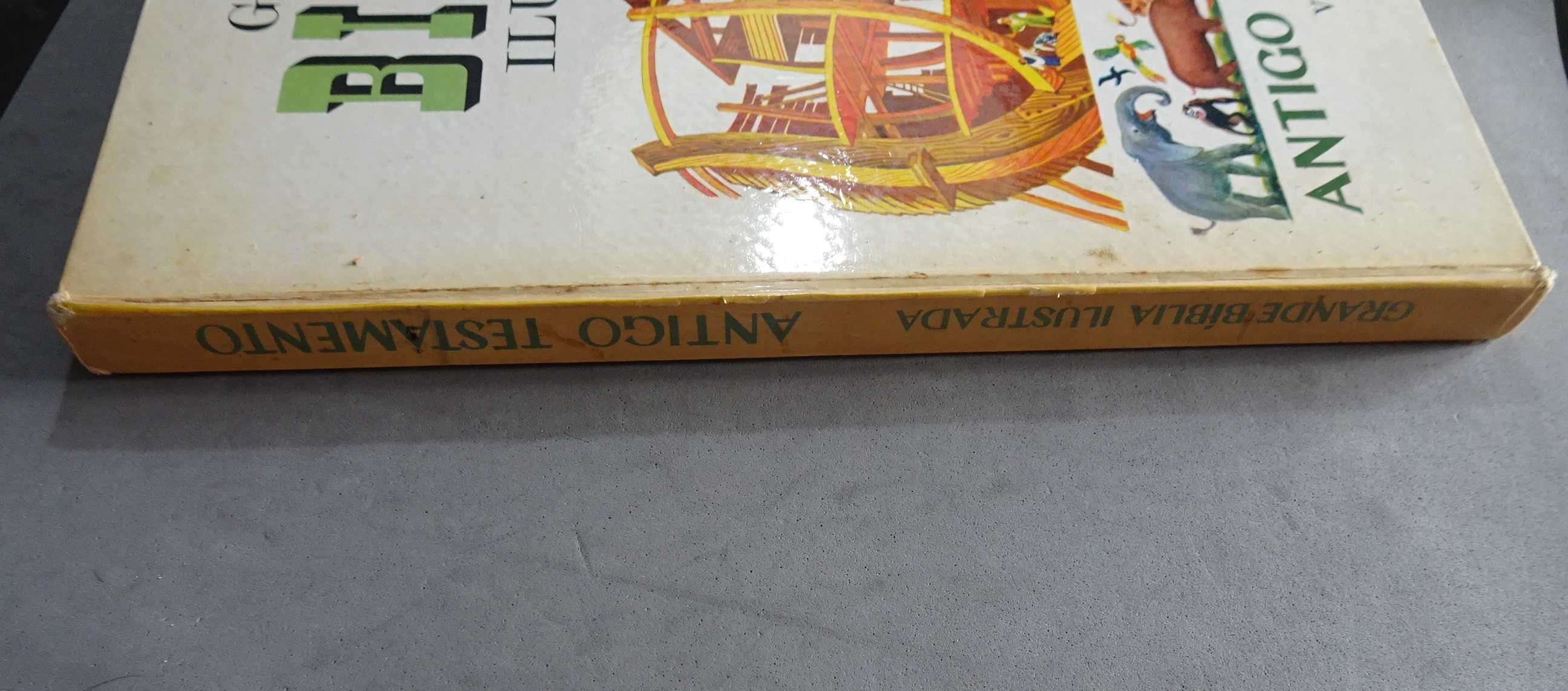 Livro Grande Bíblia Ilustrada - Antigo Testamento - Verbo Infantil