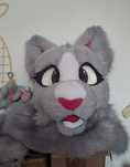 Fursuit kot premade
