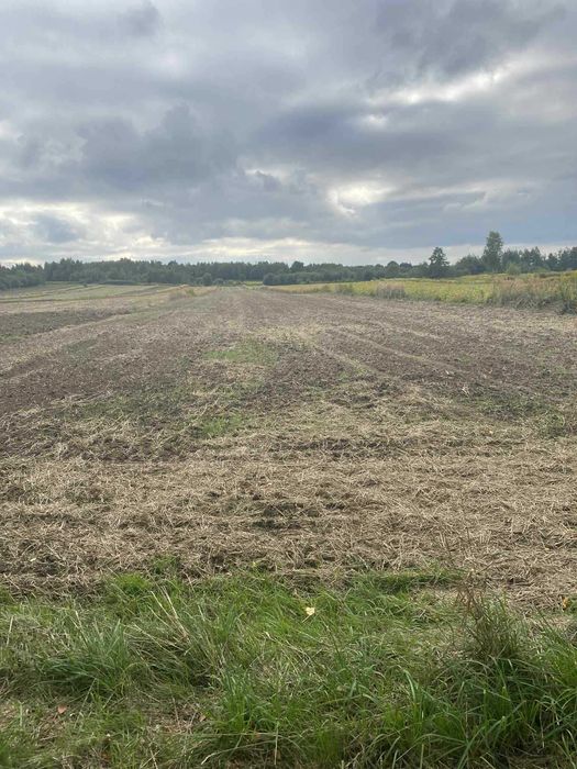 Działka rolno budowlana