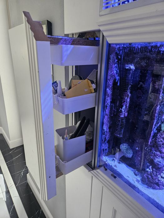 Zestaw w zabudowie - akwarium morskie 250l 100x50x50