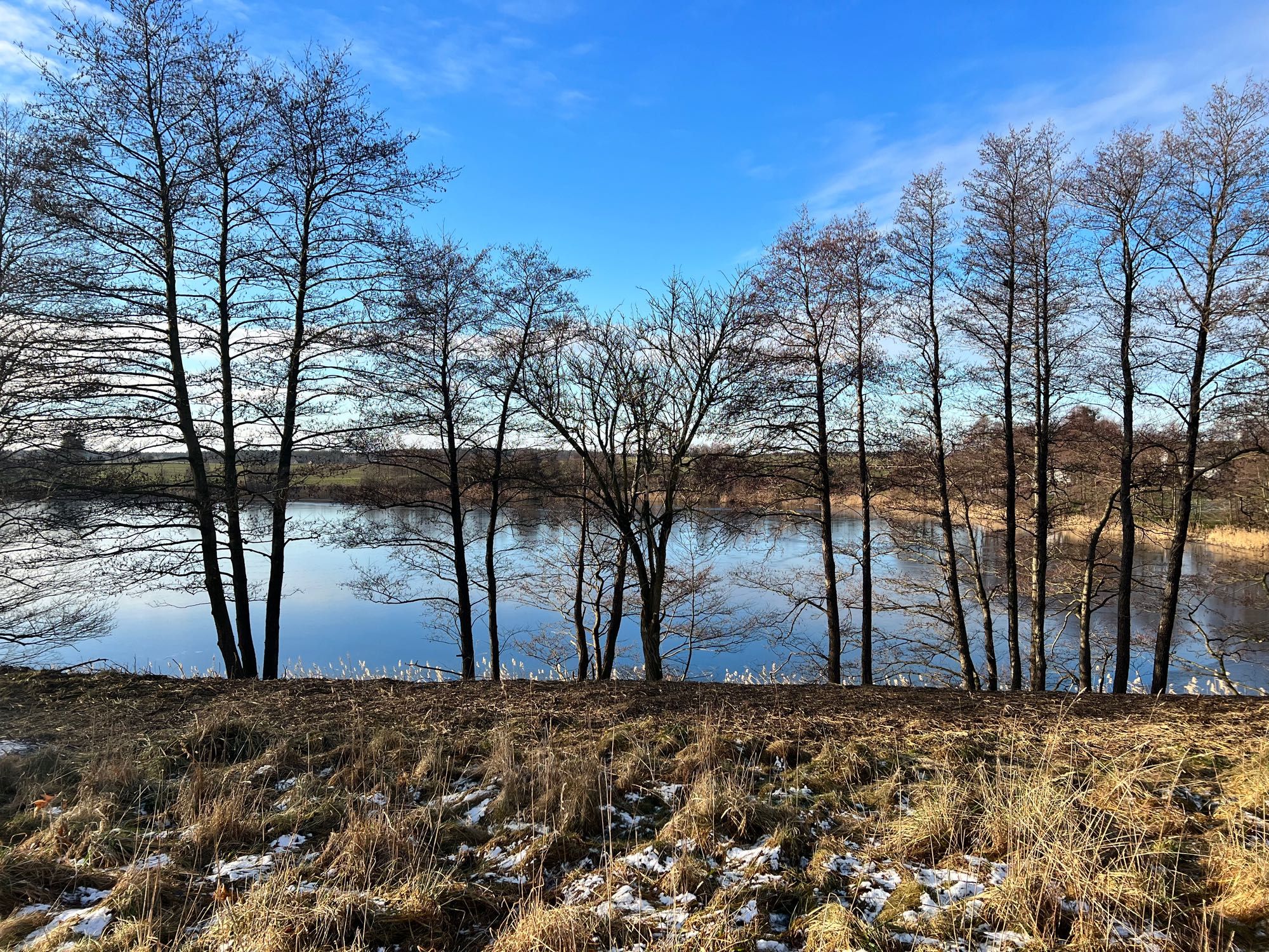 Działka z linią brzegową nad Jeziorem Duże Łąki