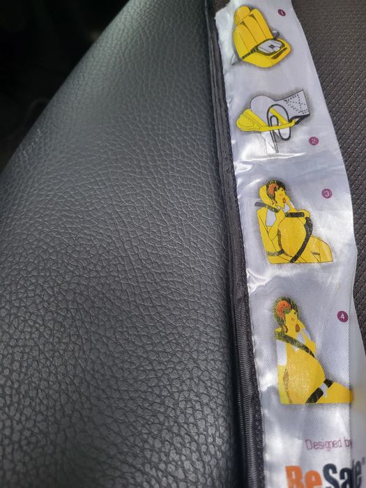 BeSafe para cinto de segurança do carro