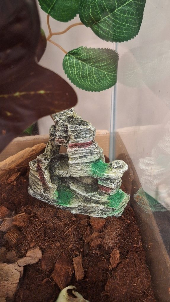 Dekoracje do terrarium/akwarium.