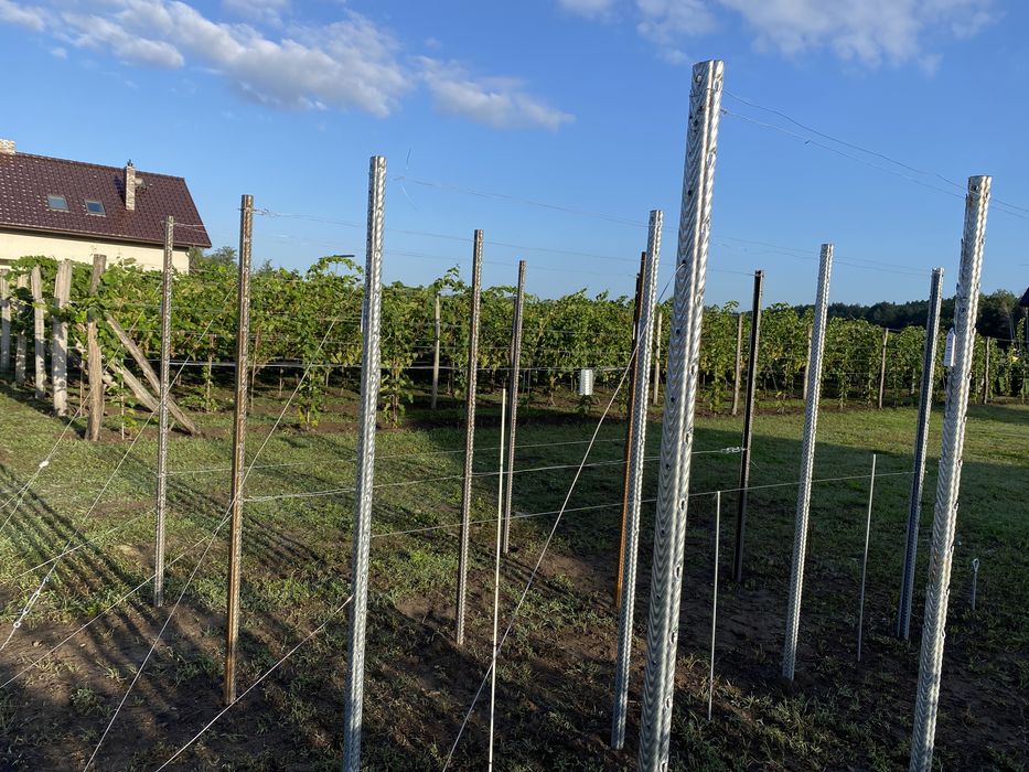 Słupki do winnic - różne rodzaje
